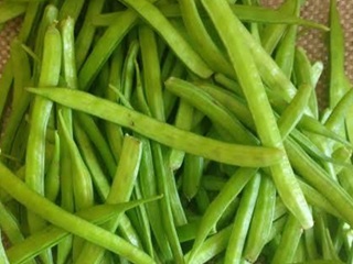 Cluster bean