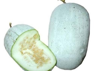 White Pumpkin