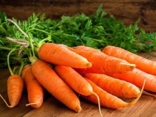 Carrot