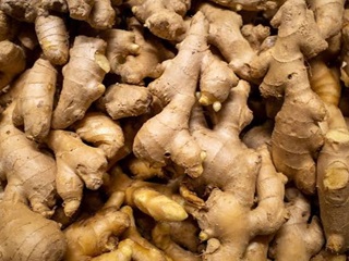Ginger