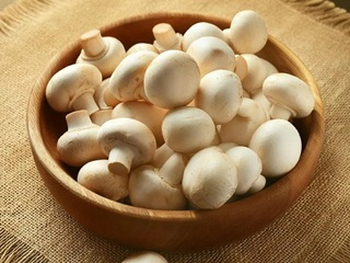 Mushroom