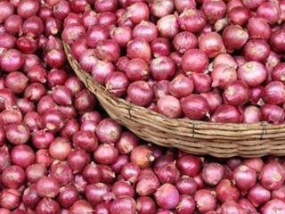 Small Onion